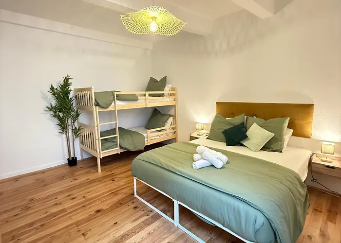 Le Playground - T4 Carcassonne